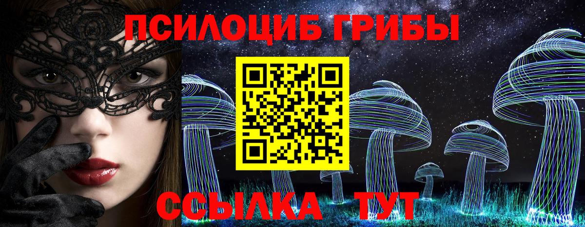Михайловск  Псилоцибиновые грибы Psilocybine cubensis  Вход с VPN  Галлюциногенные грибы GOLDEN TEACHER 