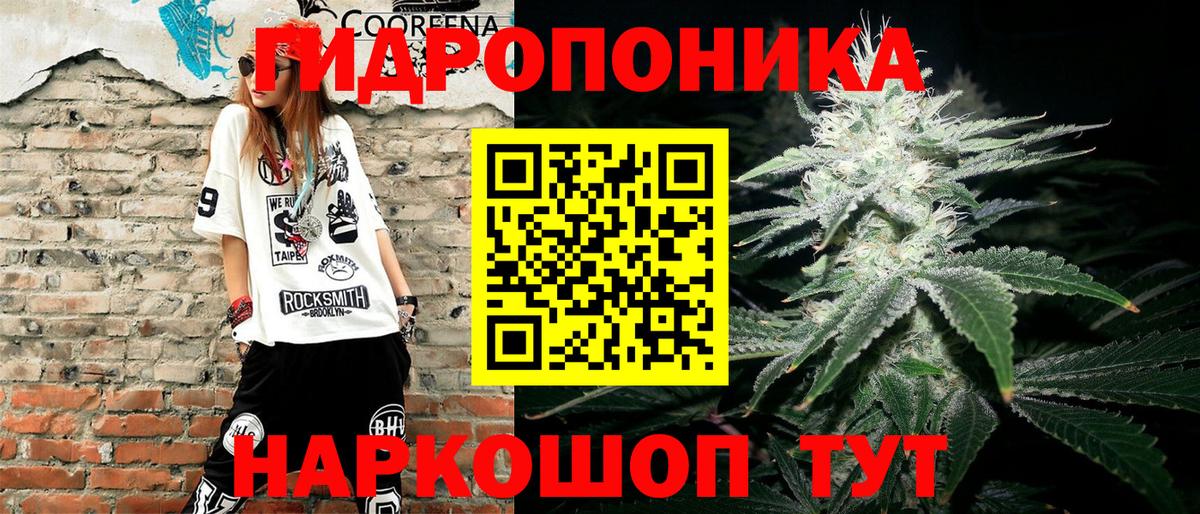 Бошки марихуана ГИДРОПОН  Вход с VPN  МАРИХУАНА гибрид  Бошки марихуана конопля  Конопля Bruce Banner  Михайловск 